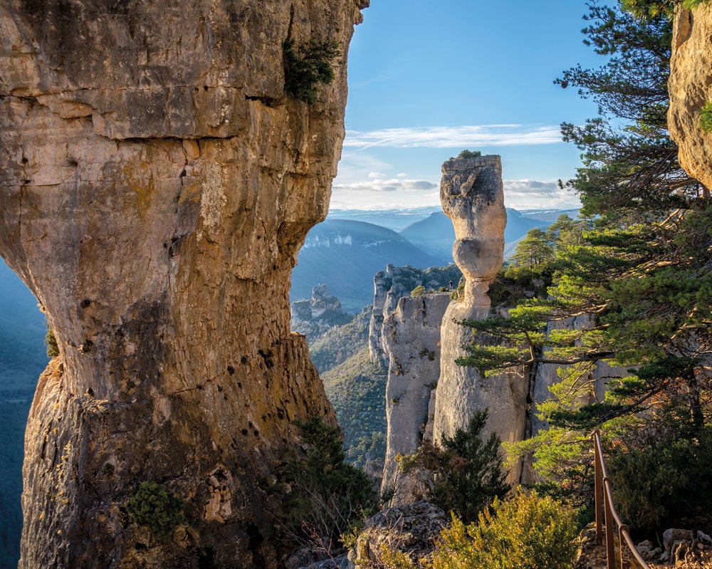 causse flore gr736