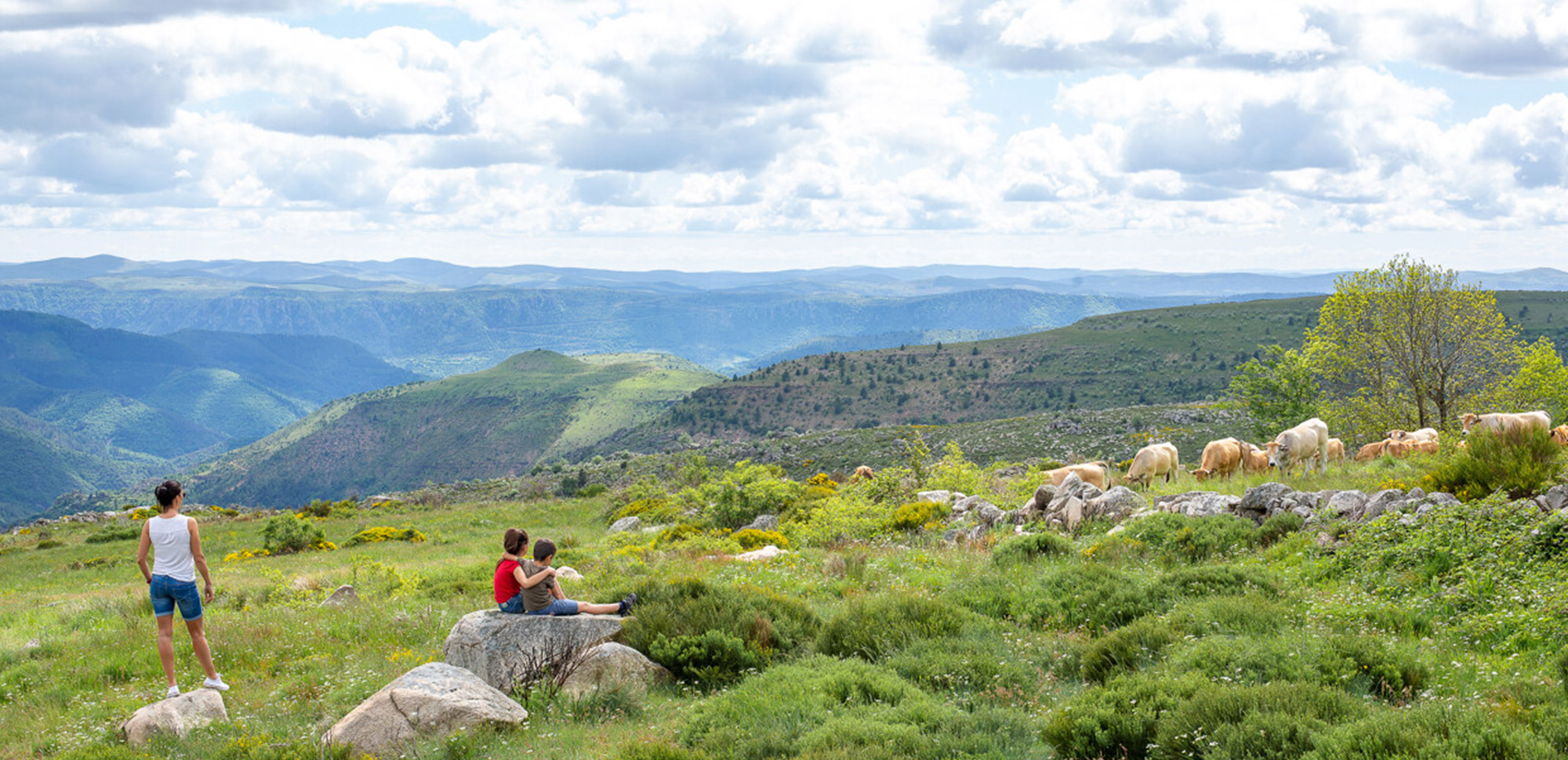 Mont Lozère ©Benoit_Colomb